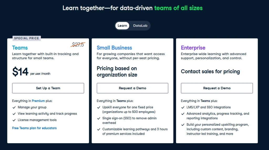 datacamp ai Business plan